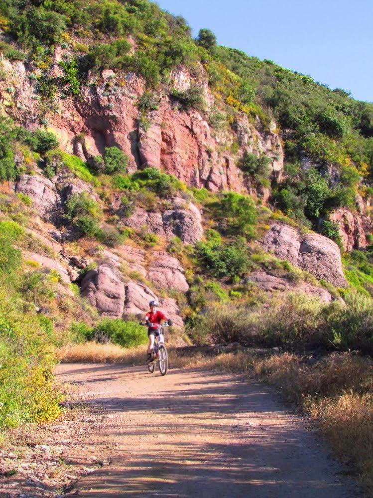 托潘加峡谷住宿加早餐旅馆 Topanga 外观 照片